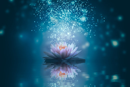 Abstract background with lotus flower