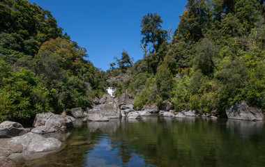Fototapeta na wymiar Waterfall. Te Urewera National Park New Zealand. Tropic jungle.