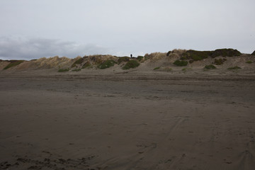 San francisco coast line