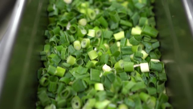 Capture the vibrant essence of scallions in our aluminum container. Experience the freshness and quality of this essential ingredient for your best dishes