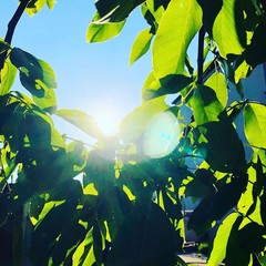 Otwór na słońce  © kar