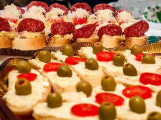 Traditional Czech(Bohemian) snack served during celebration(New Year's, birthdays, weddings, parties, etc.) - Open sandwich(Oblozeny chlebicek)