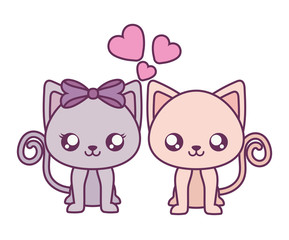 Isolated couple of cats vector design