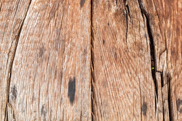 Obraz premium Old Weathered Brown Wood Texture
