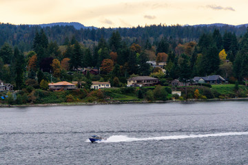 Fototapeta premium Campbell River, Vancouver Island, British Columbia, Canada. View of Fishing Boat with residential homes on the ocean shore in background during a cloudy evening.