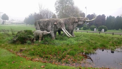 elefantes © christkov_