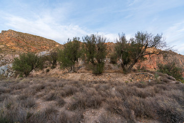 Mountainous landscape near Ugijar (Spain)