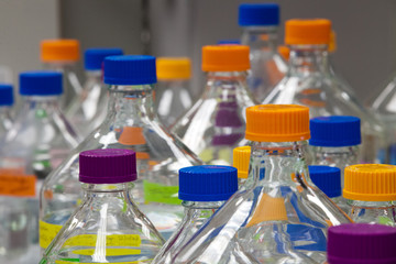 Various bottles with multi colored caps in chemistry laboratory