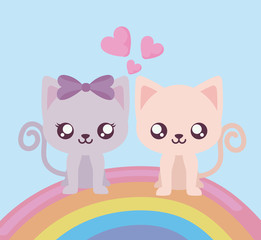 Cute cats cartoons and rainbow vector design