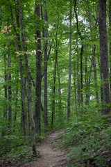 Hiking Trail