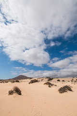 Fototapeta na wymiar Fuerteventura, Canarias