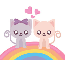 Isolated couple of cats and rainbow vector design