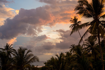 Fototapeta na wymiar Amazing sunset sky above the jungle and ocean