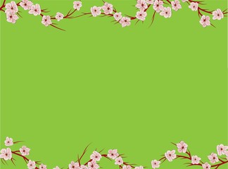 Plakat Sakura on light background. Sakura vector flower. Vector floral print. Blooming cherry blossom petals. Japanese culture. Floral design. Blooming tree. Banner template.