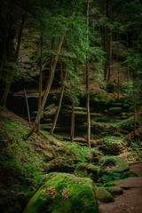 Fototapeta premium Hocking Hills Conkle's Hollow Gorge