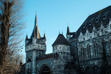 Vajdahunyad castle in the Varoshliget park in Budapest in winter, Hungary.