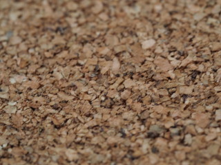 Cork Texture