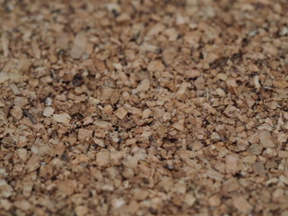 Cork Texture