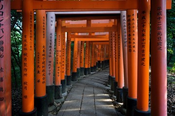 Fushimi Inari Hike