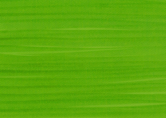 A green background image of a brush touch texture with a high-quality, straight line.  Vector image that can be modified and used in editing design.