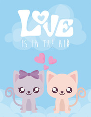 Cats couple of valentines day vector design