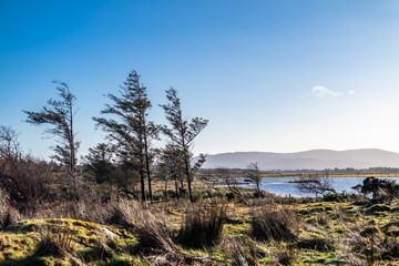 The landscape of the Sheskinmore Nature Reserve between Ardara and Portnoo in Donegal - Ireland