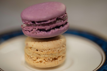 TwoA close up of two macarons, with one on top of the other. The blueberry sits on top of the vanilla