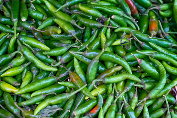Chili Pepers (Capsicum annuum) at Market, Sri Lanka