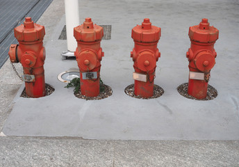 Fototapeta na wymiar many fire hydrants