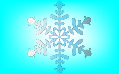 SnowFlake in shape of Flower