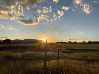 sunset over field