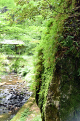 神社