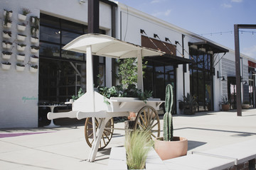 Plant Cart