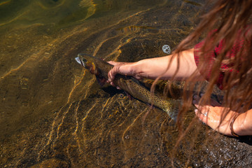 girl letting fish go
