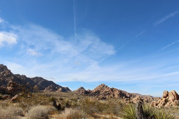 At the eastern margin of the Little San Bernardino Mountains dwells Indian Cove of Joshua Tree National Park, which provides habitat for native Southern Mojave Desert ecology.