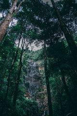 Waterfall view through trees in Langkawi