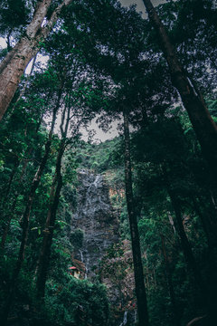 Waterfall view through trees in Langkawi © Rugged_Travelist