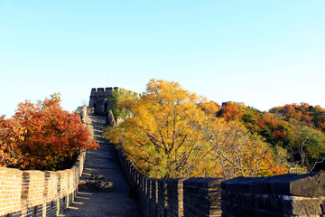 Obraz premium The Great Wall in autumn