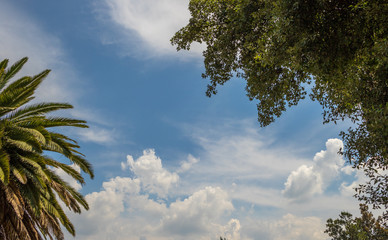 Summer thunderstorm clouds gather in the Highveld sky in Gauteng South Africa image for background use in horizontal format with copy space