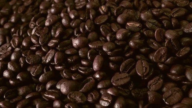 Coffee bean medium roasted