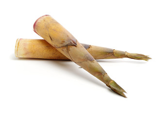 Bamboo shoot on the white background 