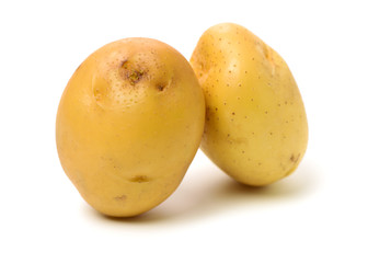 New potato isolated on white background 