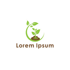 Abstract leaf logo | Vector leaf | logo design | for template.