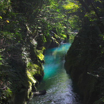 エメラルドグリーンのの清流【鹿児島県霧島神水峡】