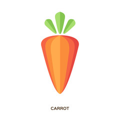 Carrot. Healthy tasty food. Orange Organic Fresh Vegetable.