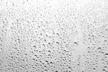 Rain drops on  the window