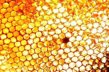 close up of honeybee honey comb background