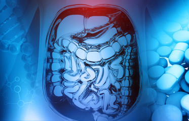 Fototapeta premium Anatomy of human digestive system with medicine. 3d illustration.