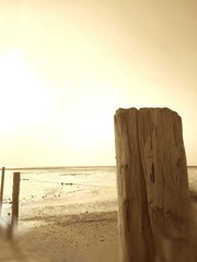 遠浅の海の夕暮れ