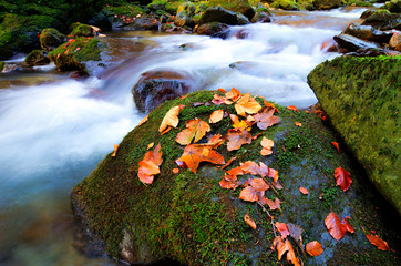 morning sunrise landscape, amazing mountains view on waterfall in autumn forest